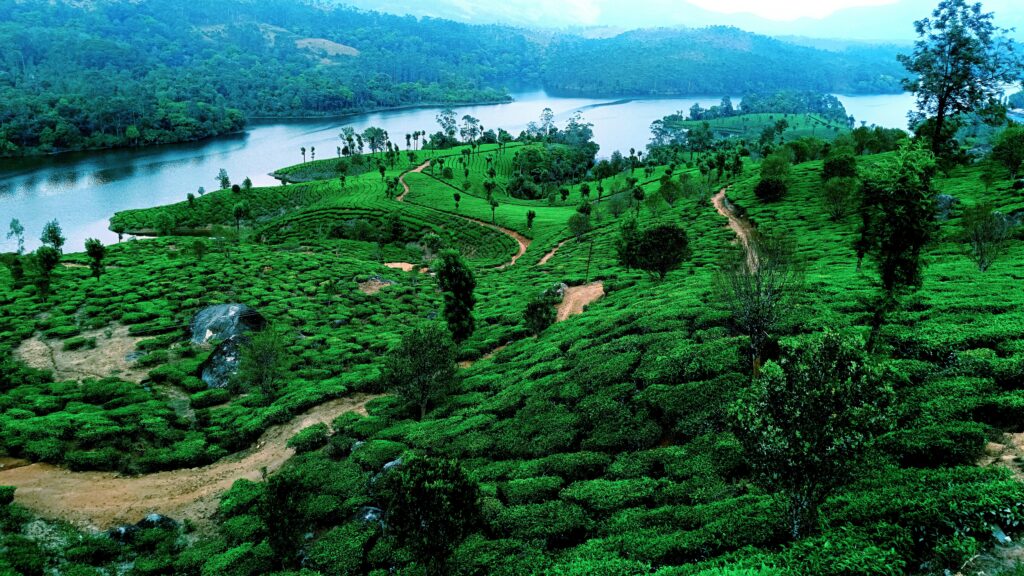 Munnar 